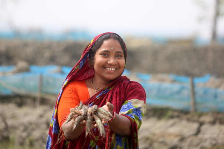 Climate-smart shrimp aquaculture & processing in Bangladesh 