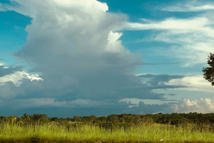 Guyana Georgetown Landscape